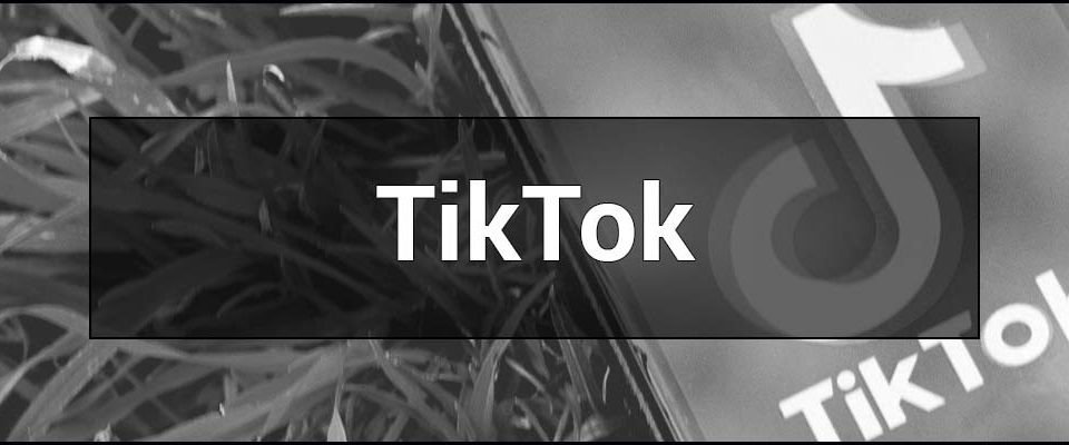 Що таке TikTok - простими словами