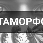 Метаморфоза — що це таке, суть та визначення в літературі, біології, геології, психології та культурі.