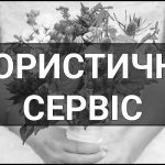 Флористичний сервіс – що це таке, визначення, суть, як працює та навіщо потрібен.