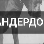 Андердог – що це таке і хто це, визначення, суть, приклади андердогів та ставлення до них.