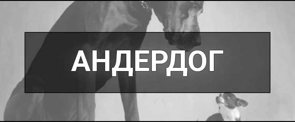 Андердог – що це таке і хто це, визначення, суть, приклади андердогів та ставлення до них.