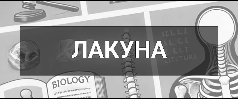 Лакуна – що це таке, визначення в різних сферах, суть та приклади вживання.