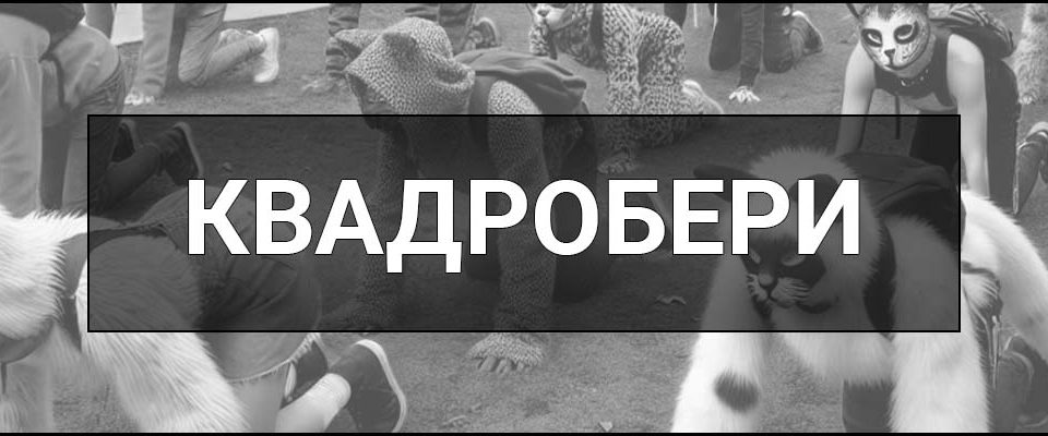 Квадробери – що це таке, хто це такі, визначення, суть та особливості поведінки.