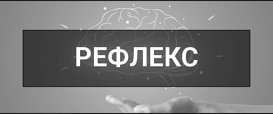 Рефлекс – що це таке, визначення, суть, види та приклади в біології та інших сферах.