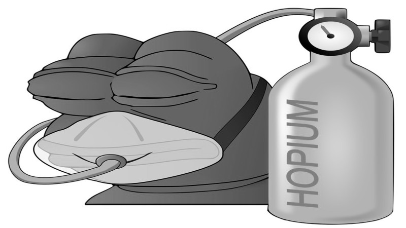 У чому різниця між copium і hopium?