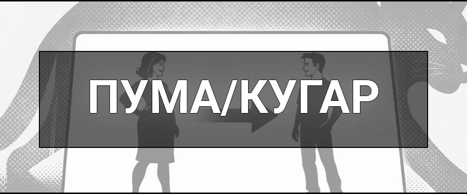 Пума (кугар) – що це таке, визначення, сленг, та хто це така жінка-пума простими словами